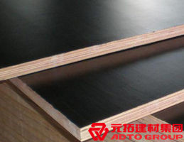 廊坊十大名牌模板廠，推薦中模元拓