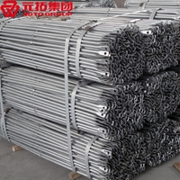 圖片 斜拉桿21.3*2173