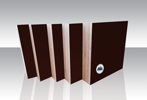 圖片 全樺木芬蘭膜清水模板