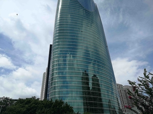 圖片 橫明豎隱幕墻